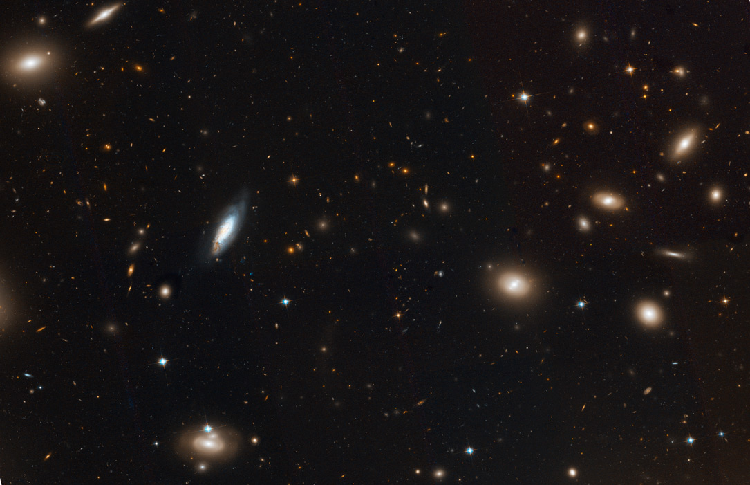 Coma HST/ACS image Coma HST/ACS image