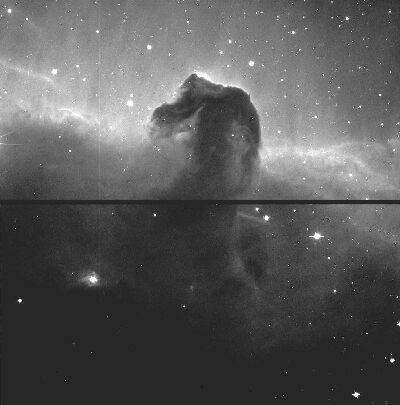 Figure 2. Horse Head Nebula B&W.