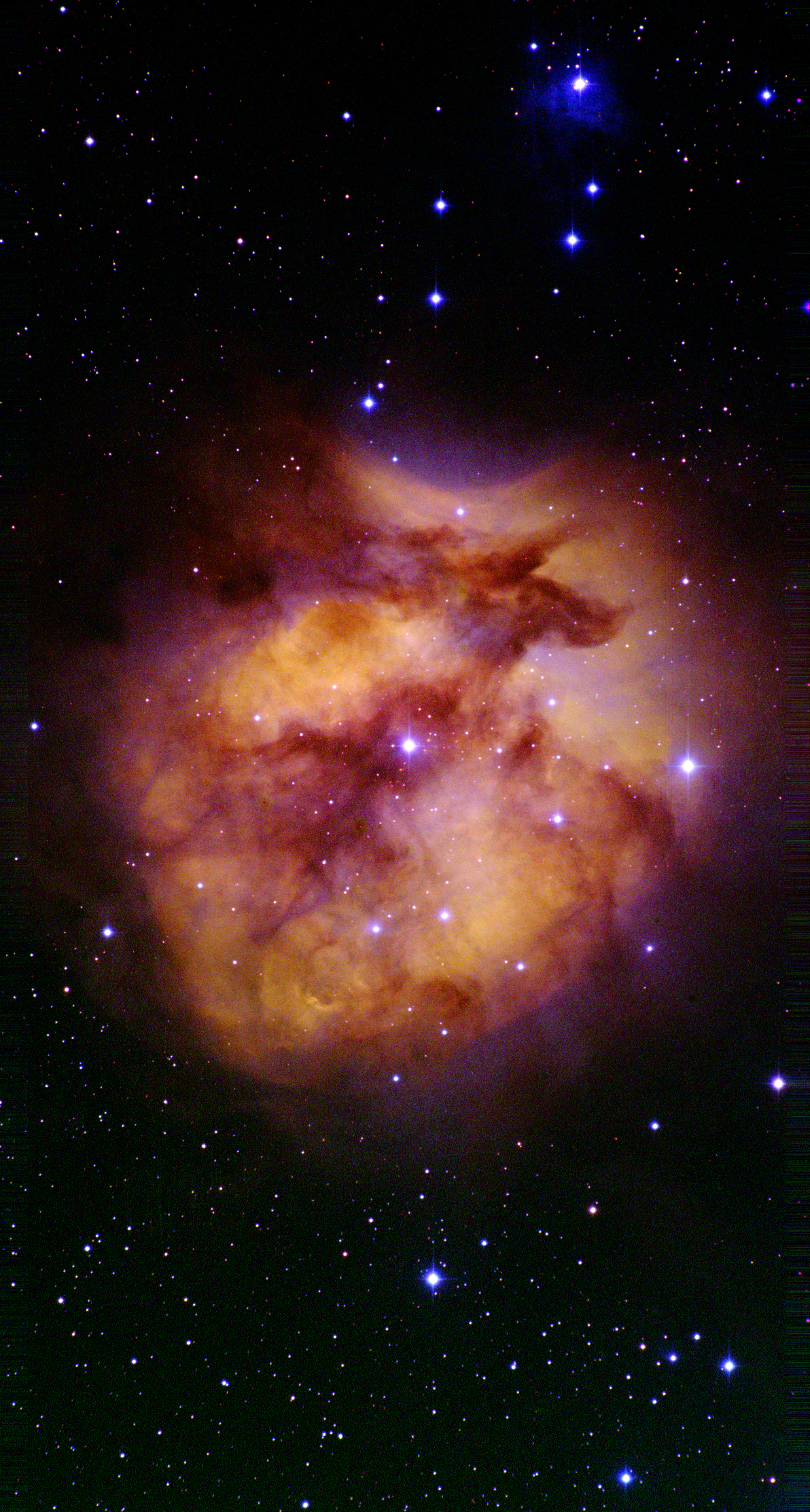 become a stellar nebula star