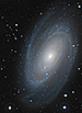 M81