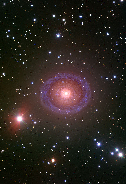 NGC7217 Galaxy