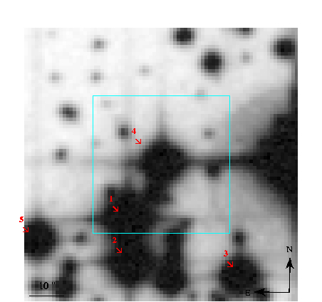 U1425_03247823