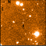 Roque 25 Brown Dwarf