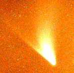 Comet Hale-Bopp and the sodium tail