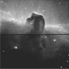 Horse Head Nebula