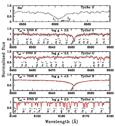 Spectra of Tycho G and some candidates