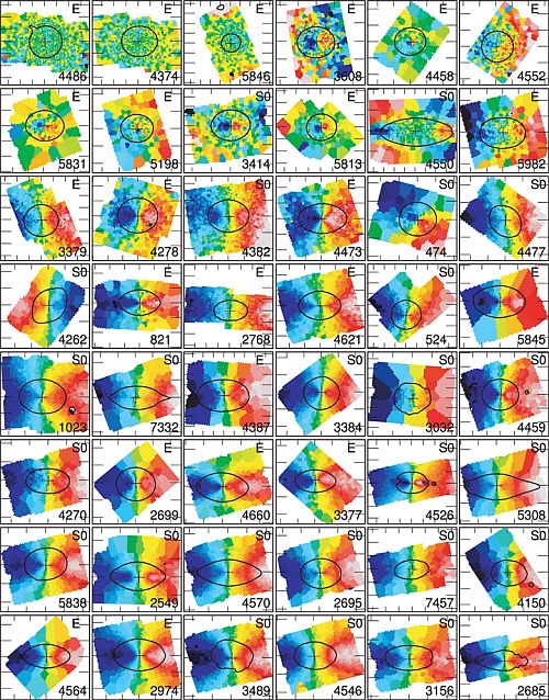 SAURON velocity maps