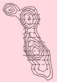 V-band linear polarisation and contour map of 3C368