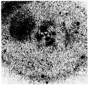 Image of shell in NGC 2300 after galaxy model subtraction