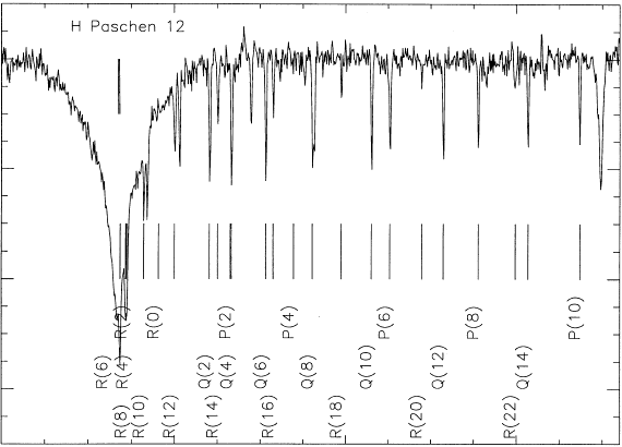 Observed spectrum of HD 56126