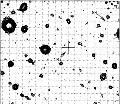 U-band image of quasar
field taken with the WHT