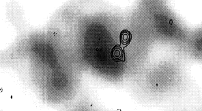 Image of 8C1435+635 with radio contours superimposed