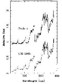 ISIS spectrum of Teide 1