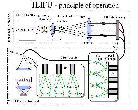 Schematic layout of TEIFU