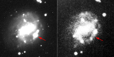 Figure 3. Discovery R band NTT image of SN 1998bw.