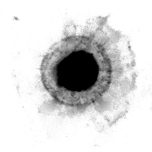 Figure 1. NGC 2438's halo.