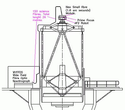 Figure 1 left.