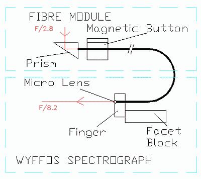 Figure 2 right.