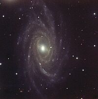 NGC2336 Galaxy