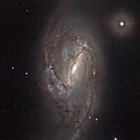 NGC3627 Galaxy