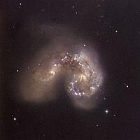 NGC4038 Galaxy