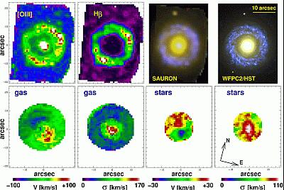 SAURON measurements of NGC7742