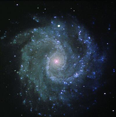 NGC 3184