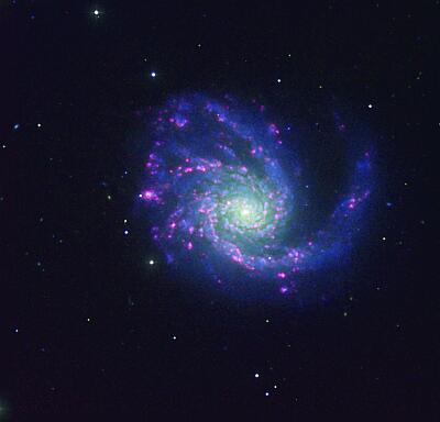 NGC 4254