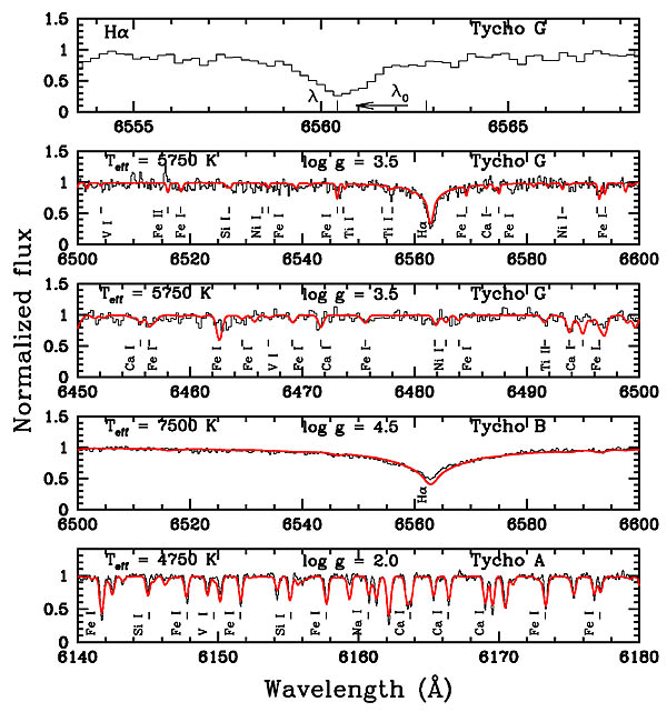 Spectra of candidates and Tycho G