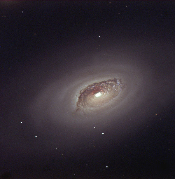 NGC 4826 Galaxy