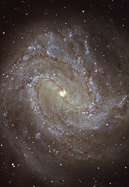 M83 Galaxy