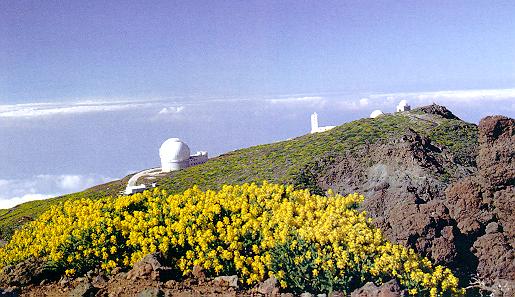 View
of the Observatory Site